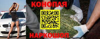 стаф Будённовск