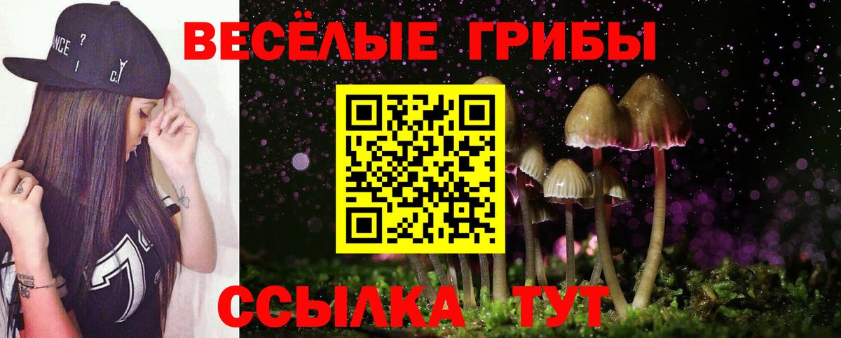 Псилоцибиновые грибы Psilocybine cubensis Ростов Великий