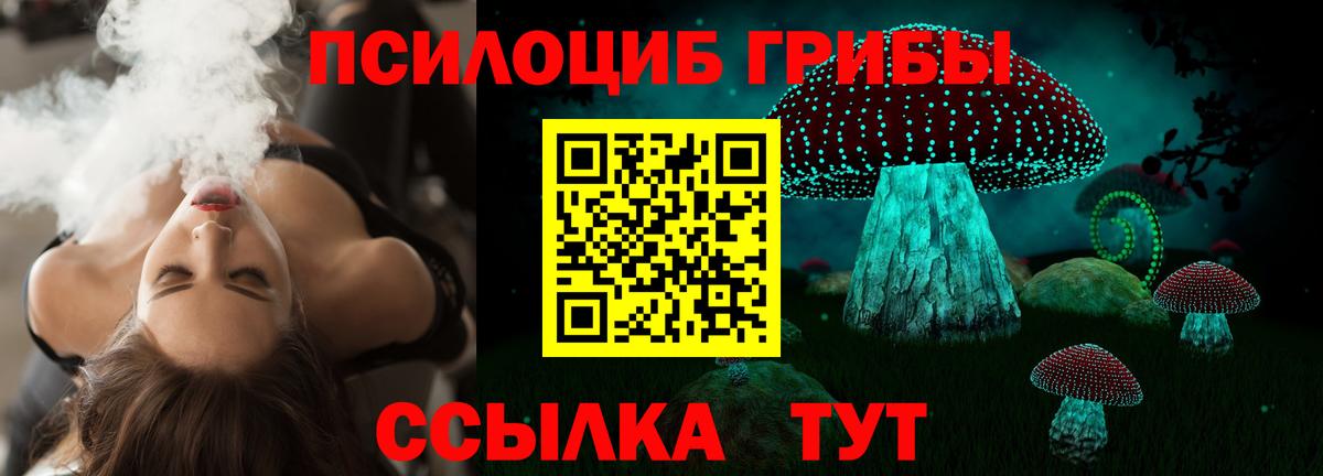 Ростов Великий  Псилоцибиновые грибы GOLDEN TEACHER  Вход с VPN 